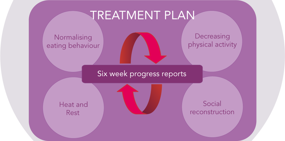explain presentation of the treatment plan and why it is so important
